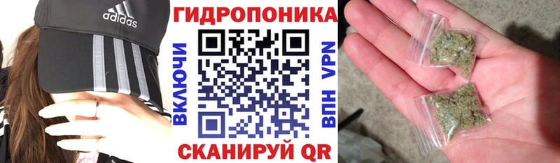 OMG ONION продажа наркотиков Туран Бошки марихуана White Widow